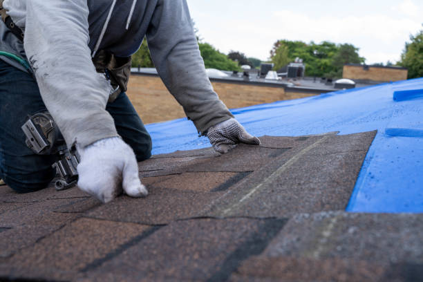 Best Roof Gutter Cleaning  in Overland Park, KS